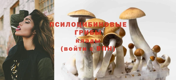мет Алзамай